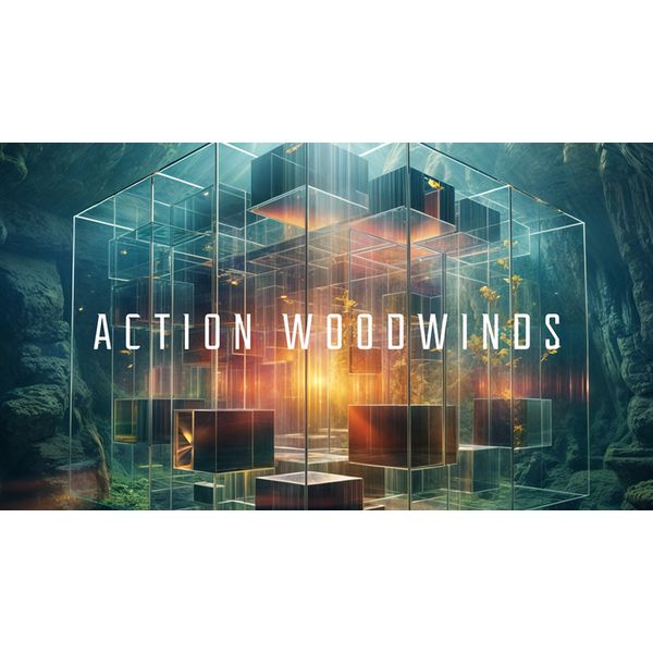 Native Instruments Action Woodwinds