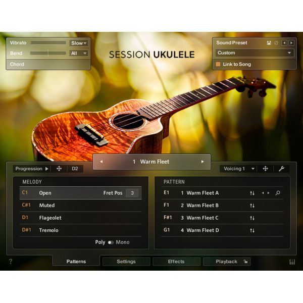 Native Instruments Session Ukulele