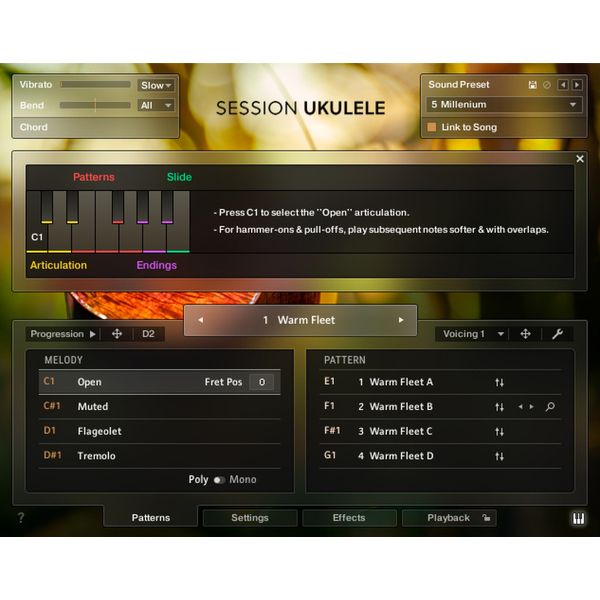 Native Instruments Session Ukulele