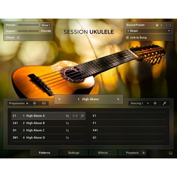 Native Instruments Session Ukulele