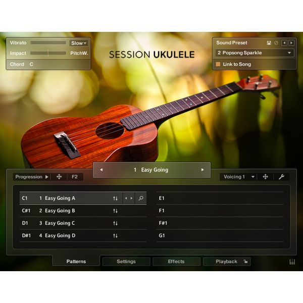 Native Instruments Session Ukulele