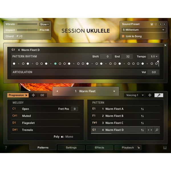 Native Instruments Session Ukulele