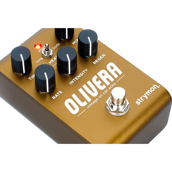 Strymon Olivera Delay