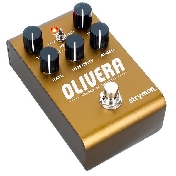 Strymon Olivera Delay