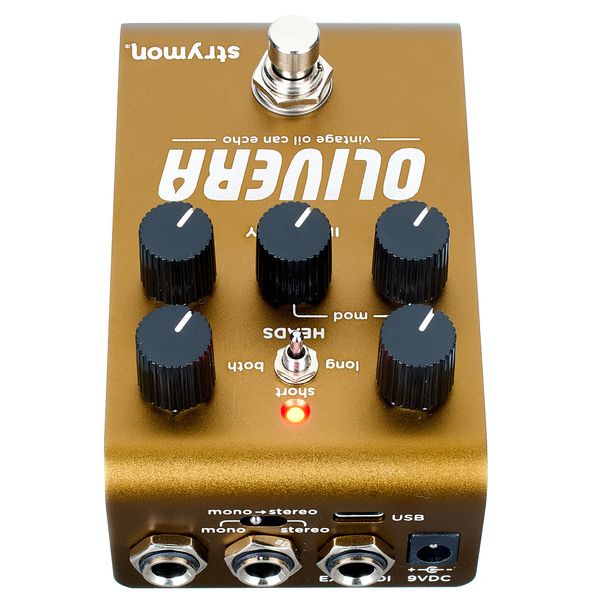 Strymon Olivera Delay