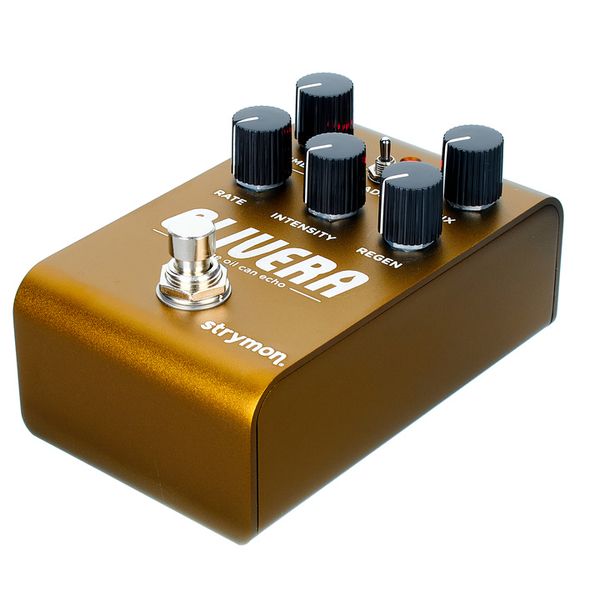 Strymon Olivera Delay