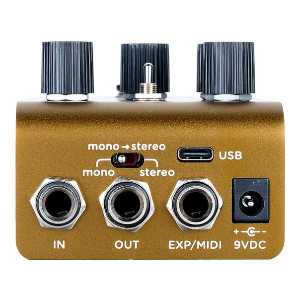 Strymon Olivera Delay