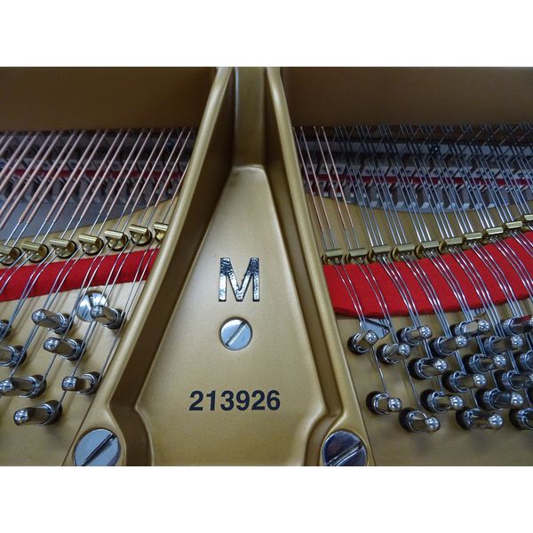 Steinway & Sons M-170 White