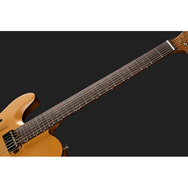 Harley Benton Fusion-T II HH LH RW SGD