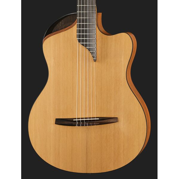 NOVA Guitars Innovator w/PU