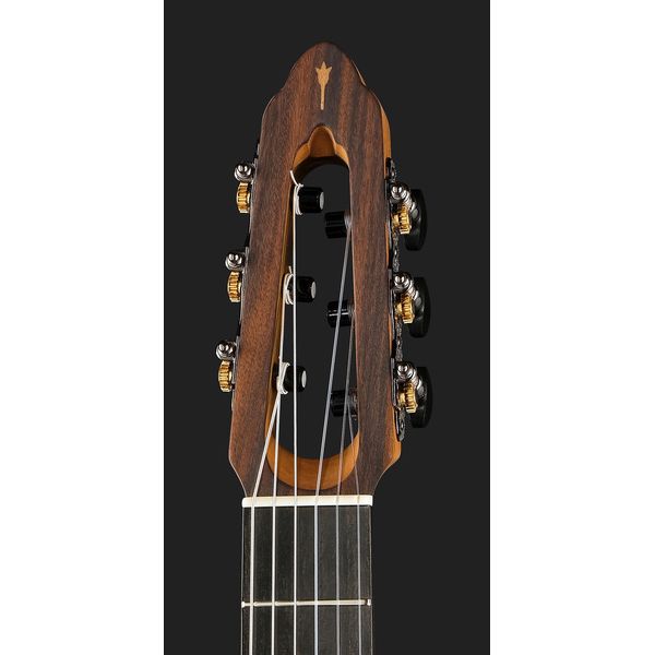 NOVA Guitars Innovator w/PU