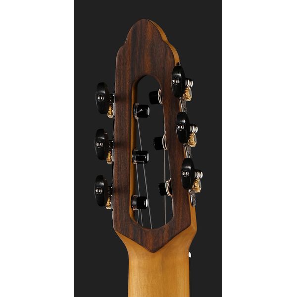 NOVA Guitars Innovator w/PU