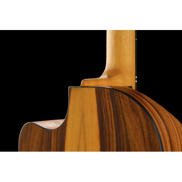 NOVA Guitars Innovator w/PU