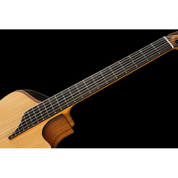 NOVA Guitars Innovator w/PU