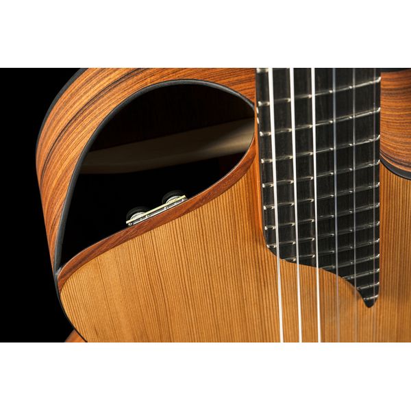 NOVA Guitars Innovator w/PU