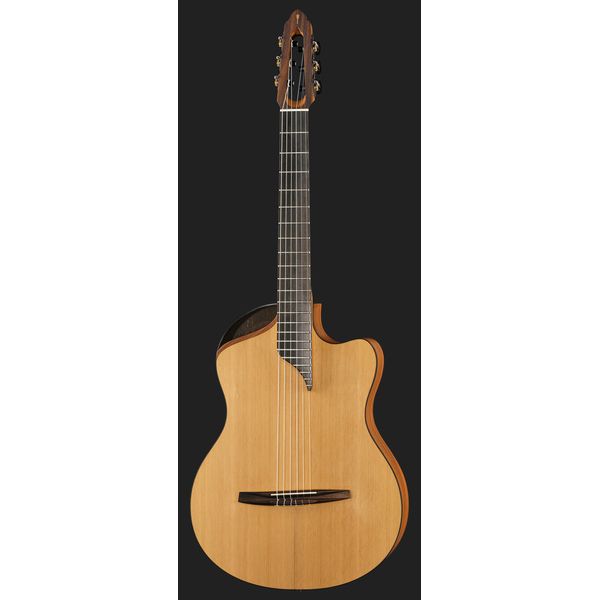 NOVA Guitars Innovator w/PU