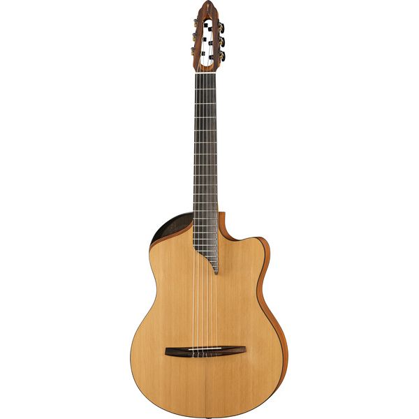 NOVA Guitars Innovator w/PU