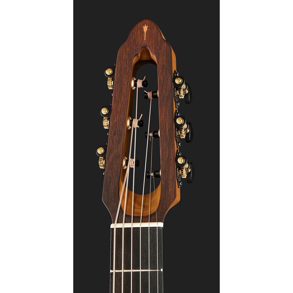 NOVA Guitars Revelator w/PU