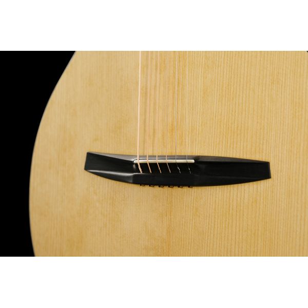 NOVA Guitars Revelator w/PU