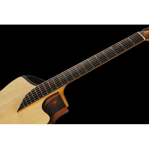 NOVA Guitars Revelator w/PU