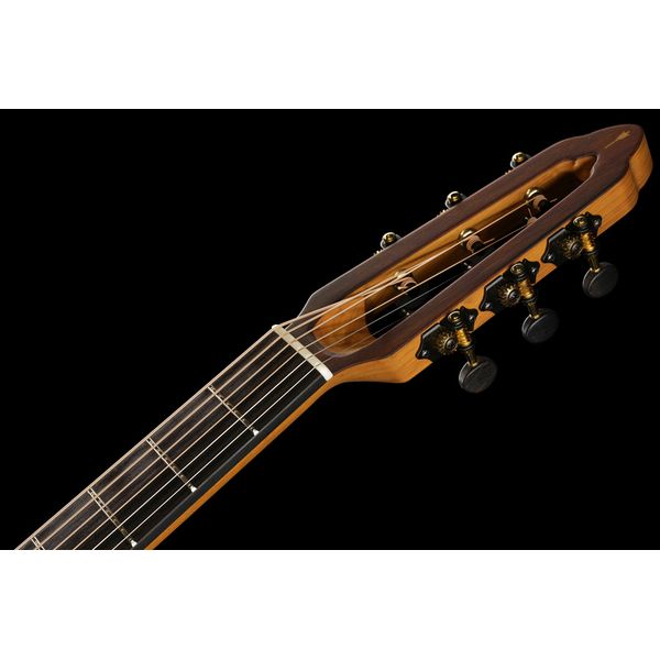 NOVA Guitars Revelator w/PU