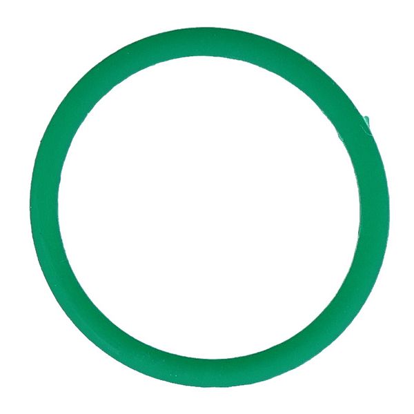 Seetronic SCH-RING-GN