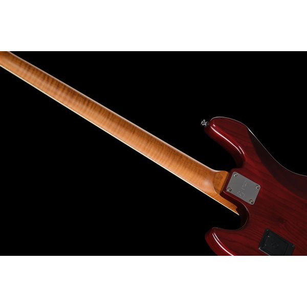 Marcus Miller V8-4 TS FL