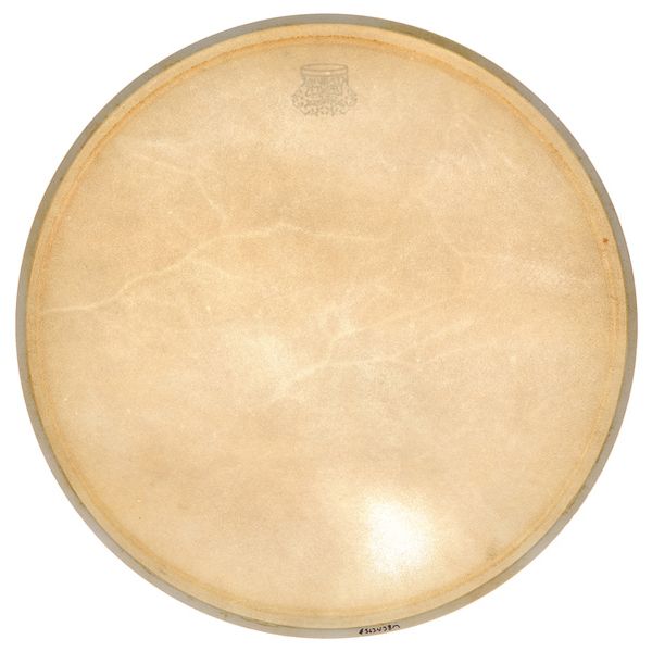 Kentville Drums 14+" Kangaroo Drum Head medium
