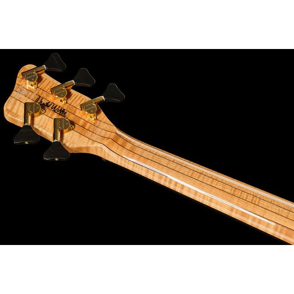 Warwick Masterbuilt Streamer II LTD 5