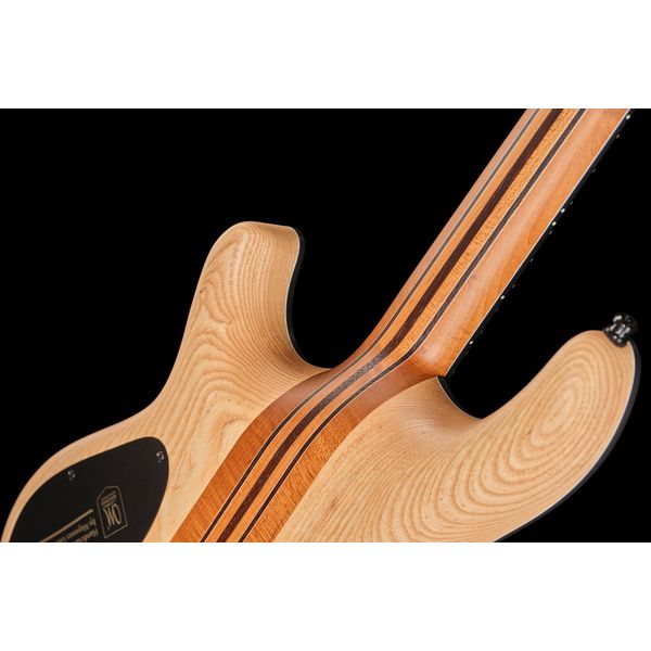 Mayones Guitars Regius 6 Curly Poplar TT