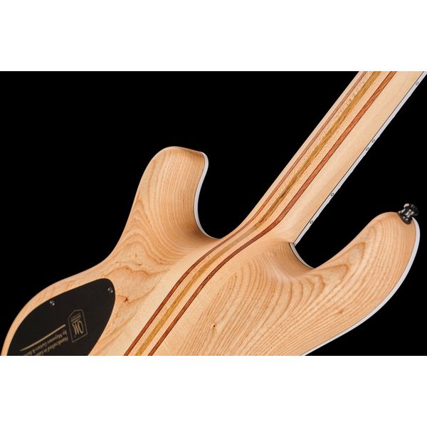 Mayones Guitars Regius 6 FM Infinite Blue