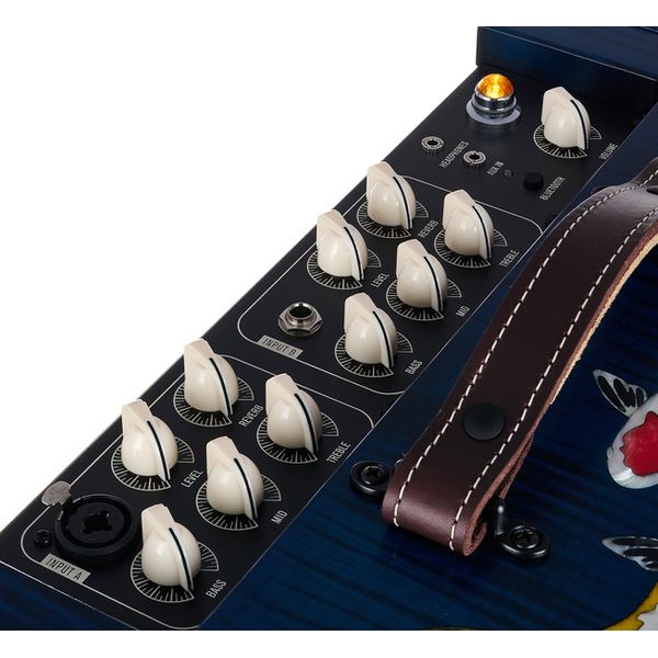 Taylor Custom #41: Living Jewel Set