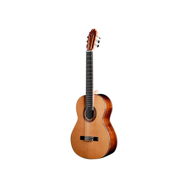 Juan Hernandez Modelo Maestro Especial DbT