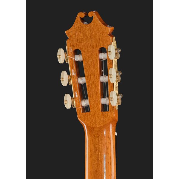 Juan Hernandez Modelo Maestro Especial DbT