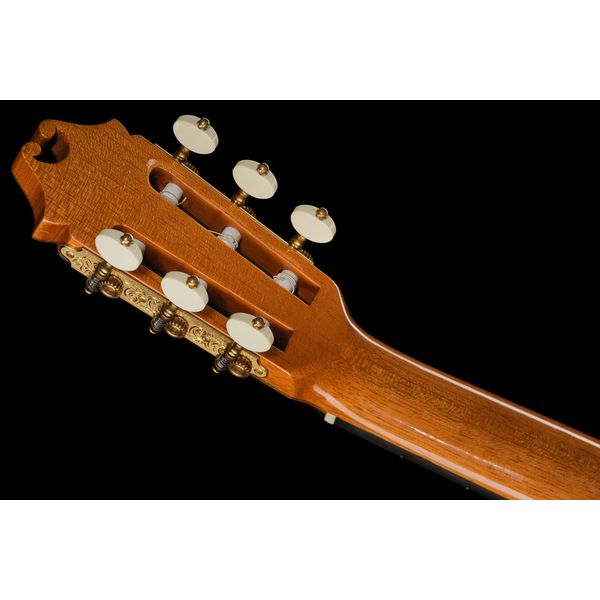 Juan Hernandez Modelo Maestro Especial DbT