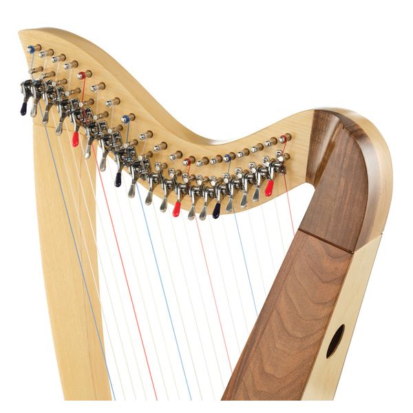 Roth & Junius Student Pro Lever Harp 19 A/WN