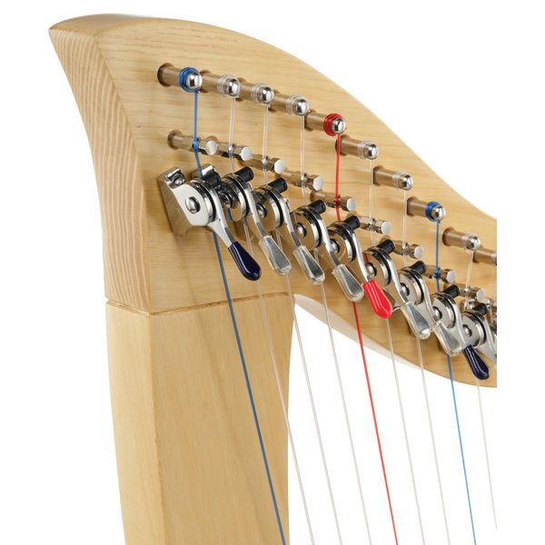 Roth & Junius Student Pro Lever Harp 19 A/WN