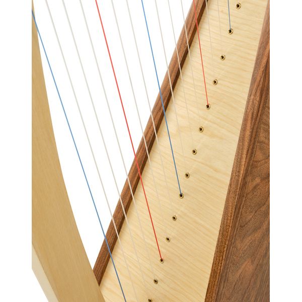 Roth & Junius Student Pro Lever Harp 19 A/WN