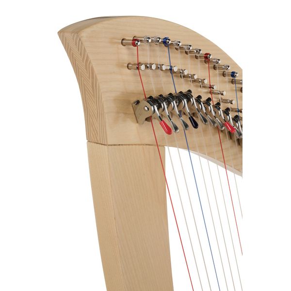 Roth & Junius Student Pro Lever Harp 29 A/WN