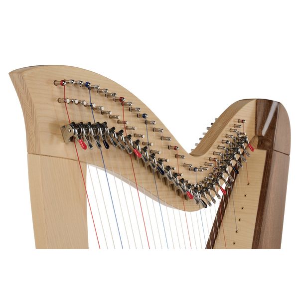 Roth & Junius Student Pro Lever Harp 29 A/WN