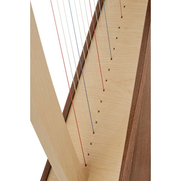 Roth & Junius Student Pro Lever Harp 29 A/WN