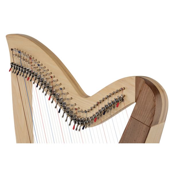 Roth & Junius Student Pro Lever Harp 36 A/WN