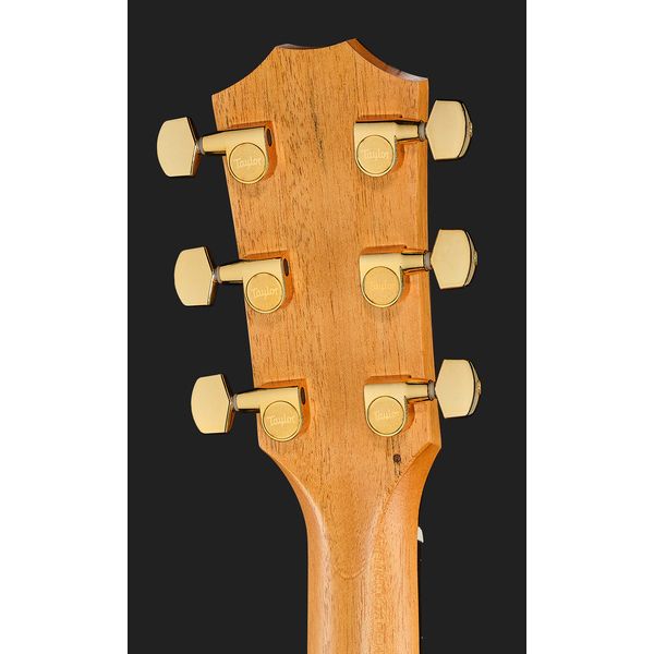 Taylor 224ce-K DLX