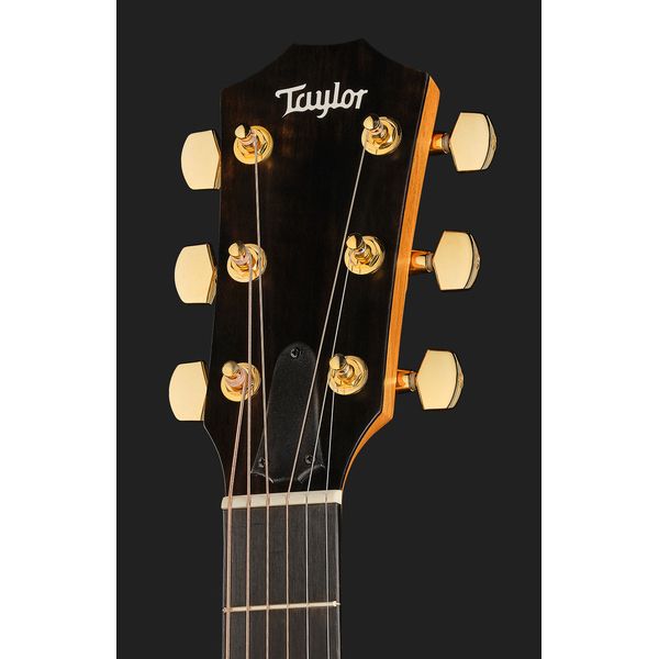 Taylor 224ce-K DLX
