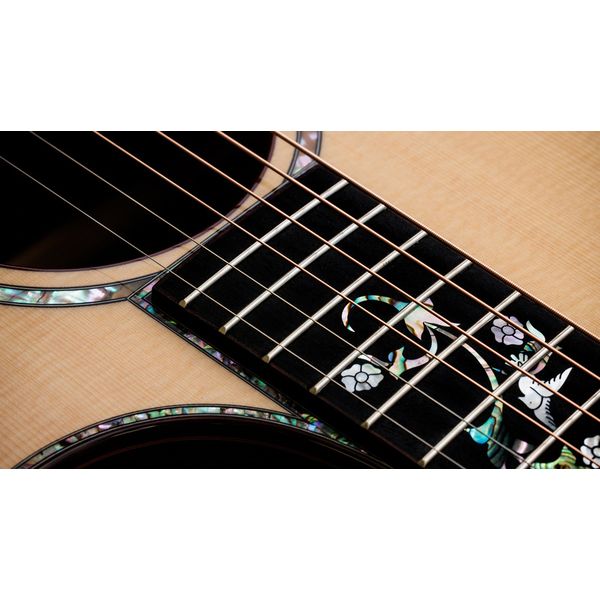 Taylor 914ce Special Edition