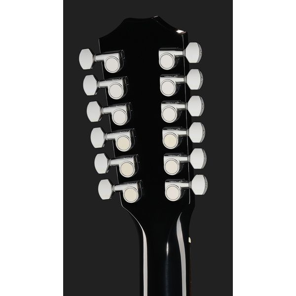 Taylor 250ce-BLK DLX