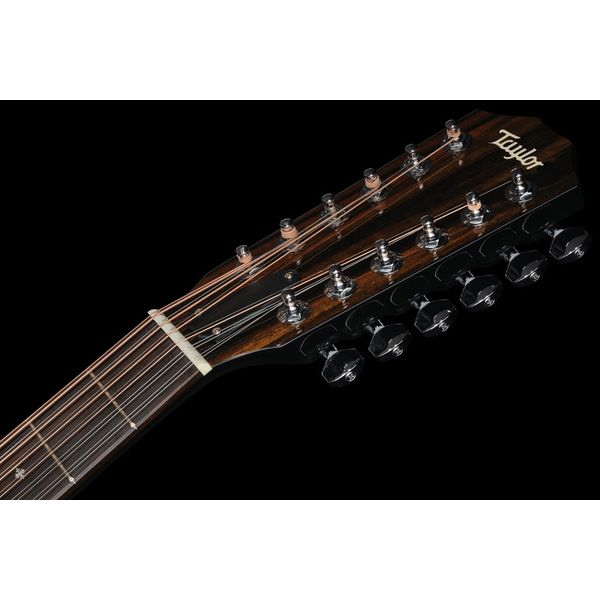 Taylor 250ce-BLK DLX