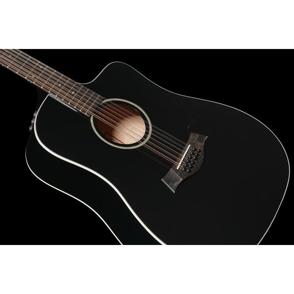Taylor 250ce-BLK DLX
