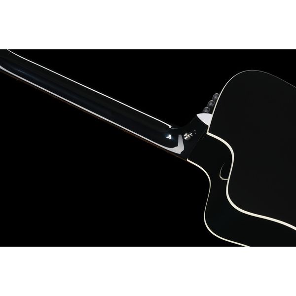 Taylor 250ce-BLK DLX