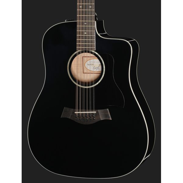 Taylor 250ce-BLK DLX